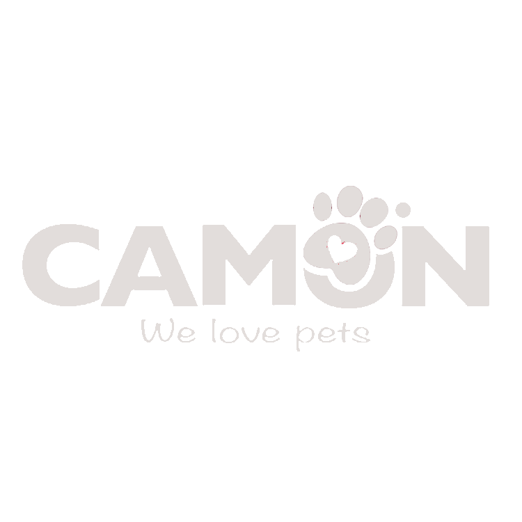 Camon