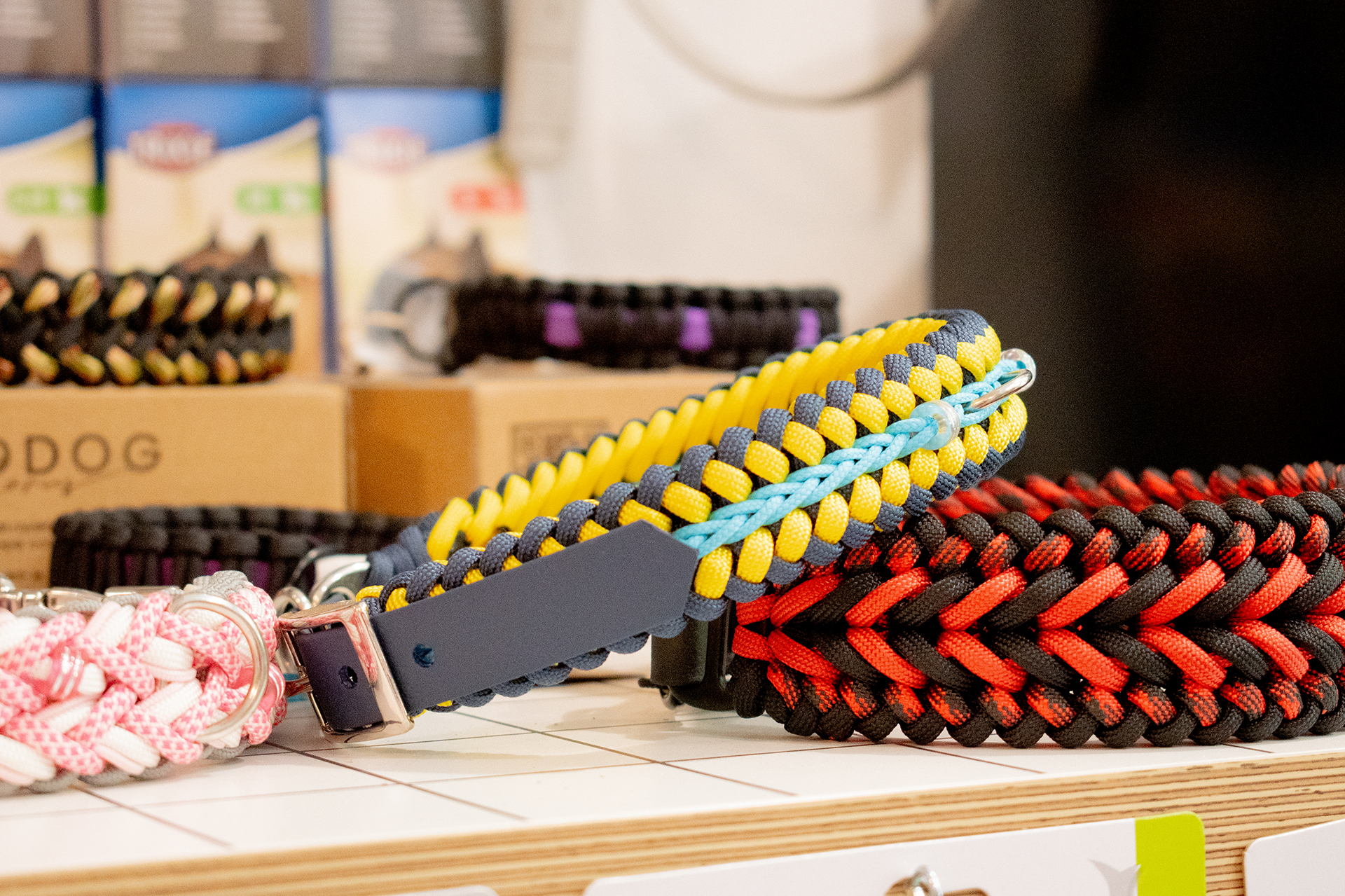 Dogzilla Pestshop GODDOG kép - indoor picture