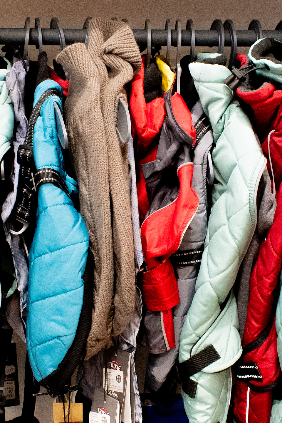 Többféle kutyaruha és esőkabát a Dogzillánál