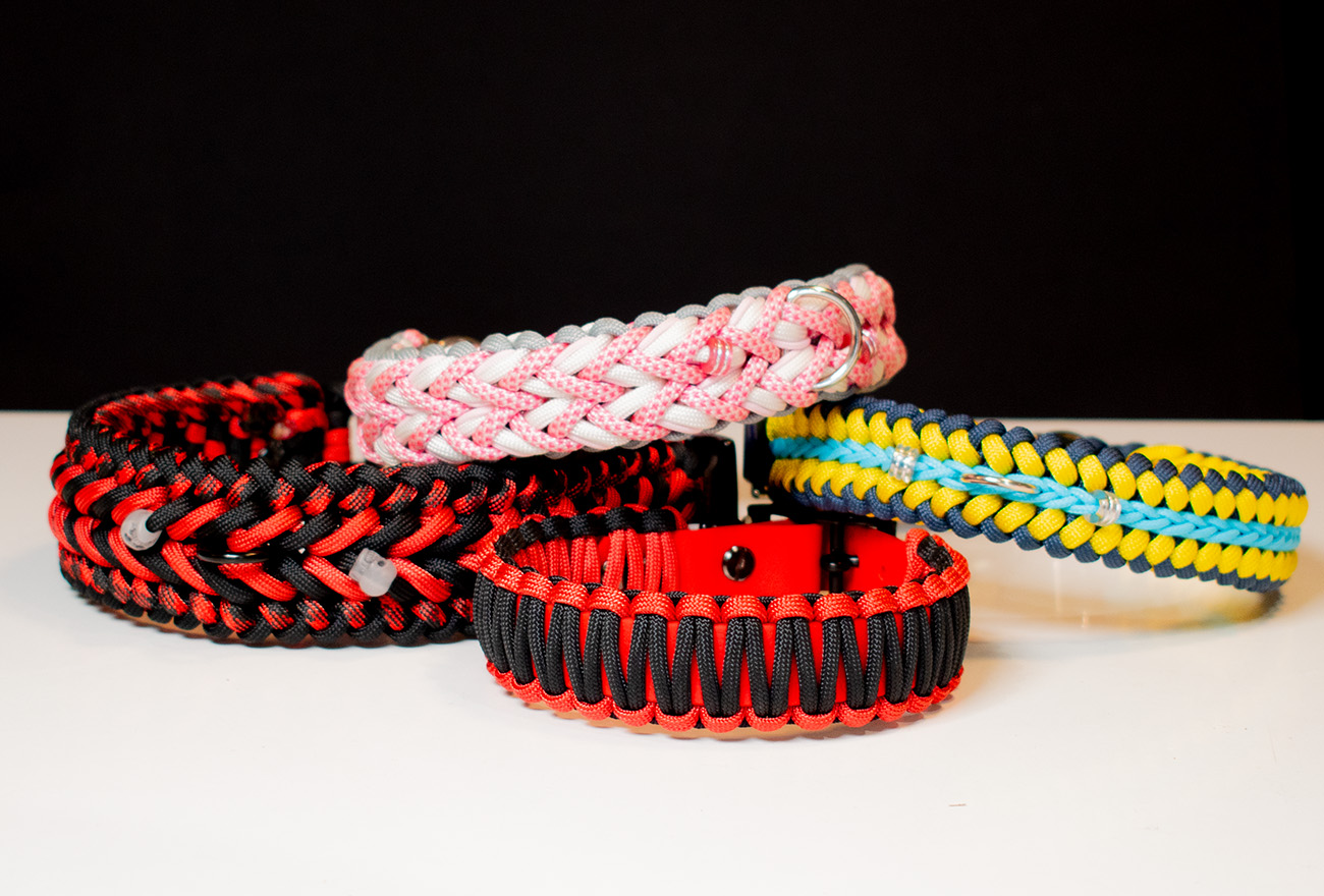 GODDOG kizárólagosan a Dogzillánál