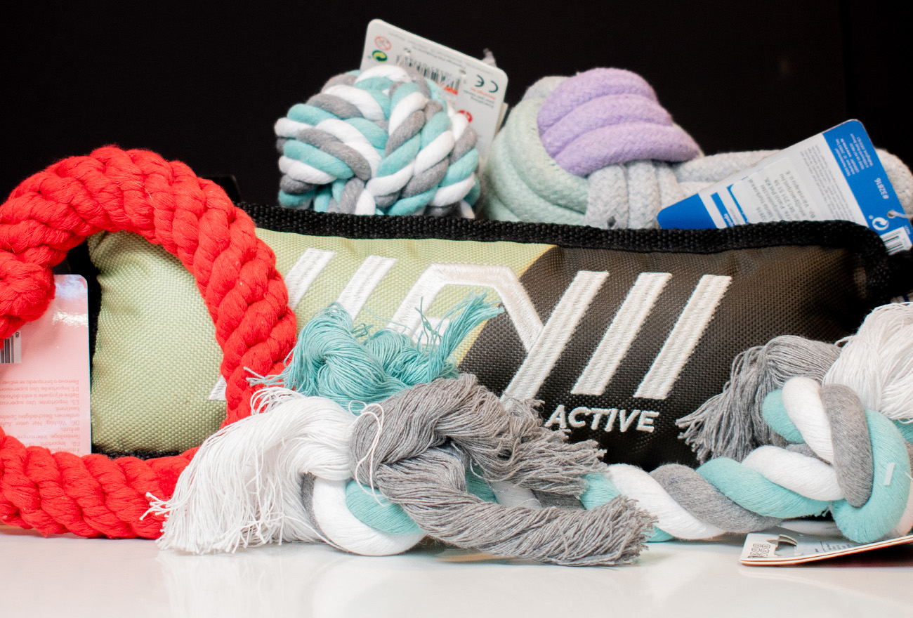 Játékok aktív sétához a Dogzillánál